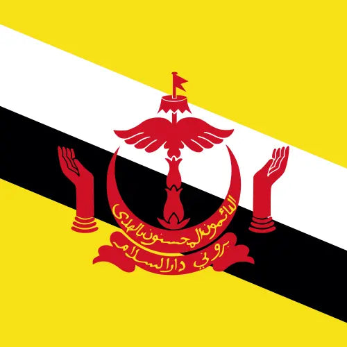 Brunei Darussalam eSIM prepaid internet voor reizen